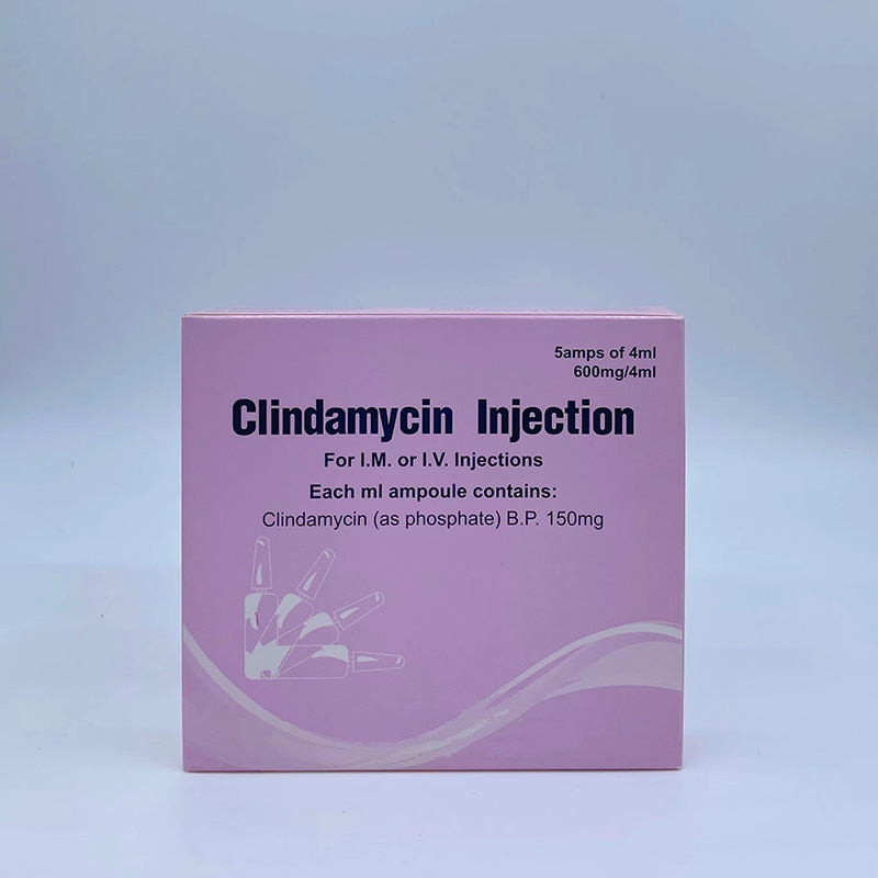 600 mg: 40 ml iniezione di clindamicina